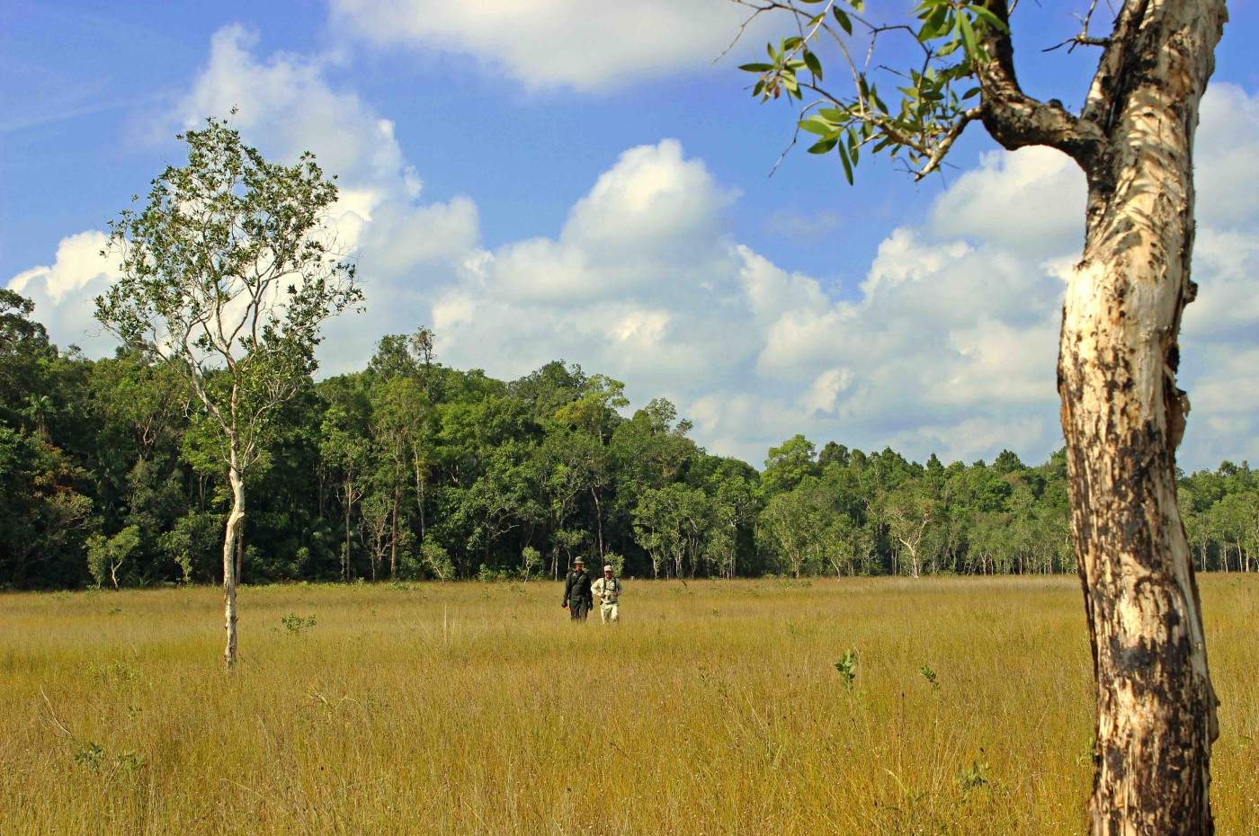 Cardamom Tented Camp, Cambodia