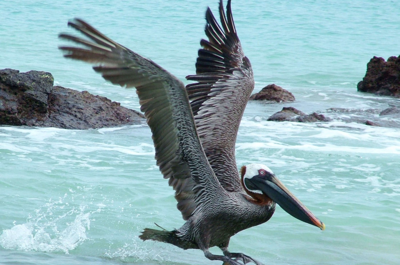 La Casa De Marita, Isabela, Galapagos, Ecuador
