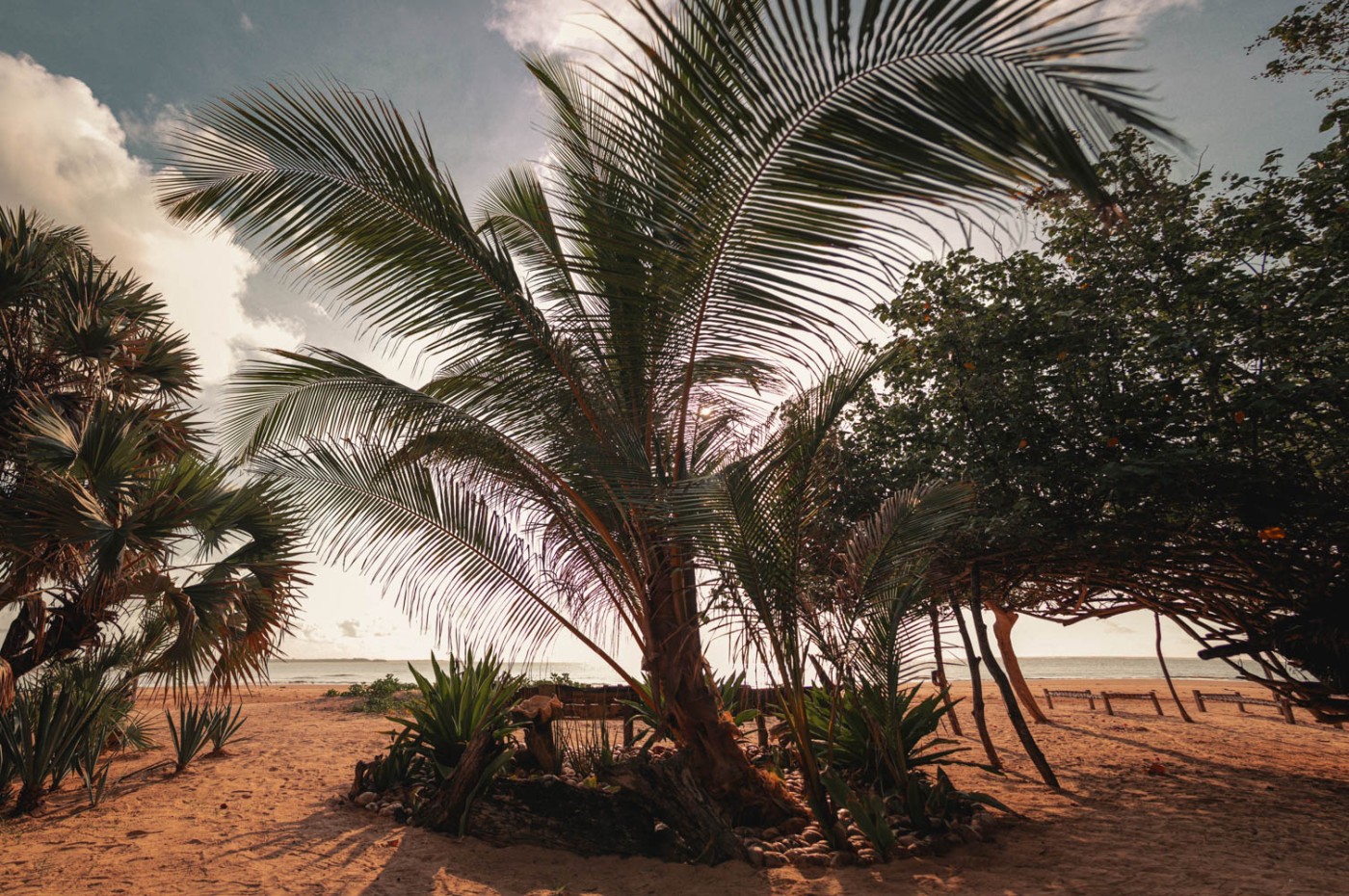 Che Shale, Malindi, Kenya