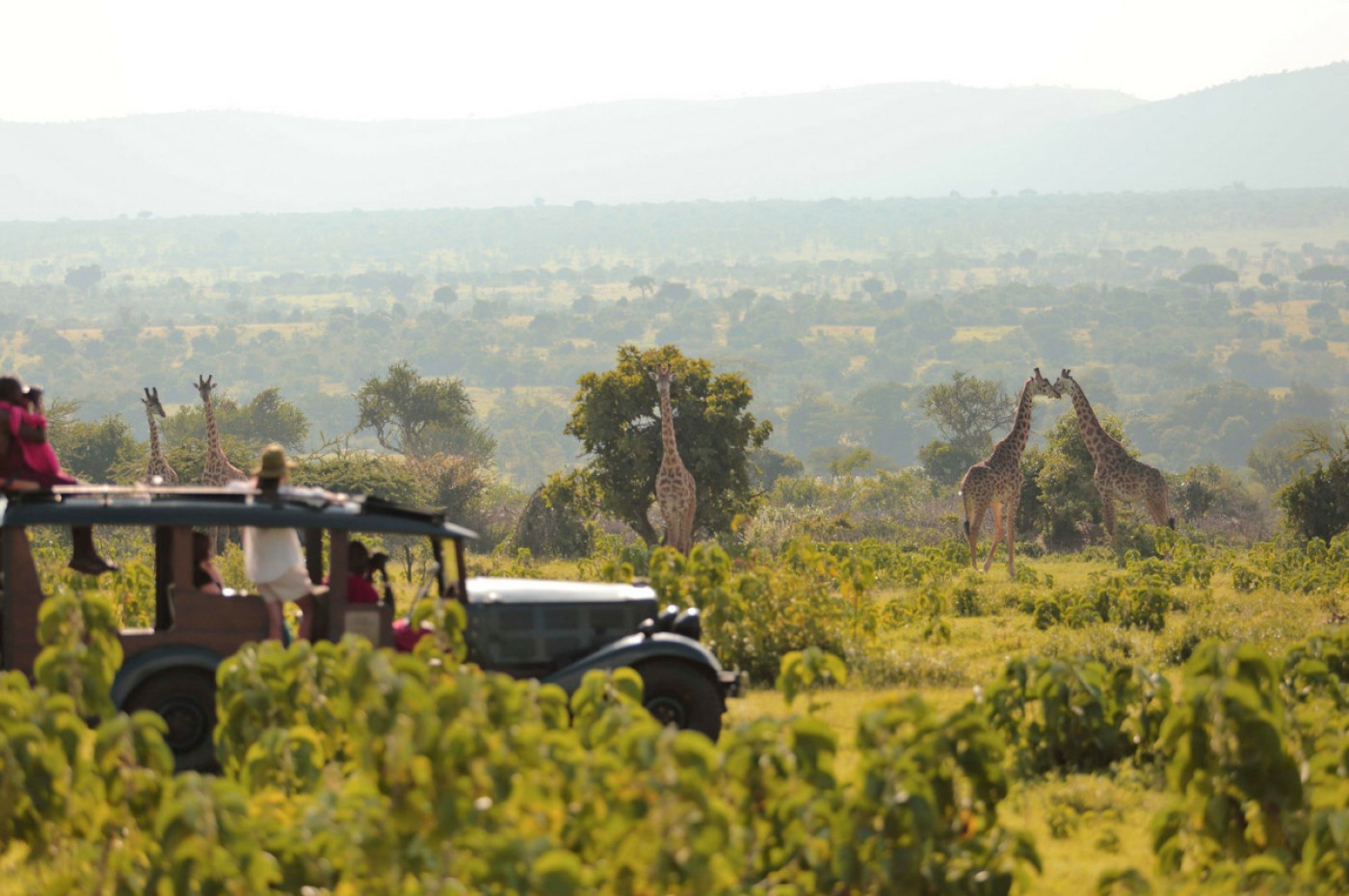 Cottar's 1920 Camp, Masai Mara