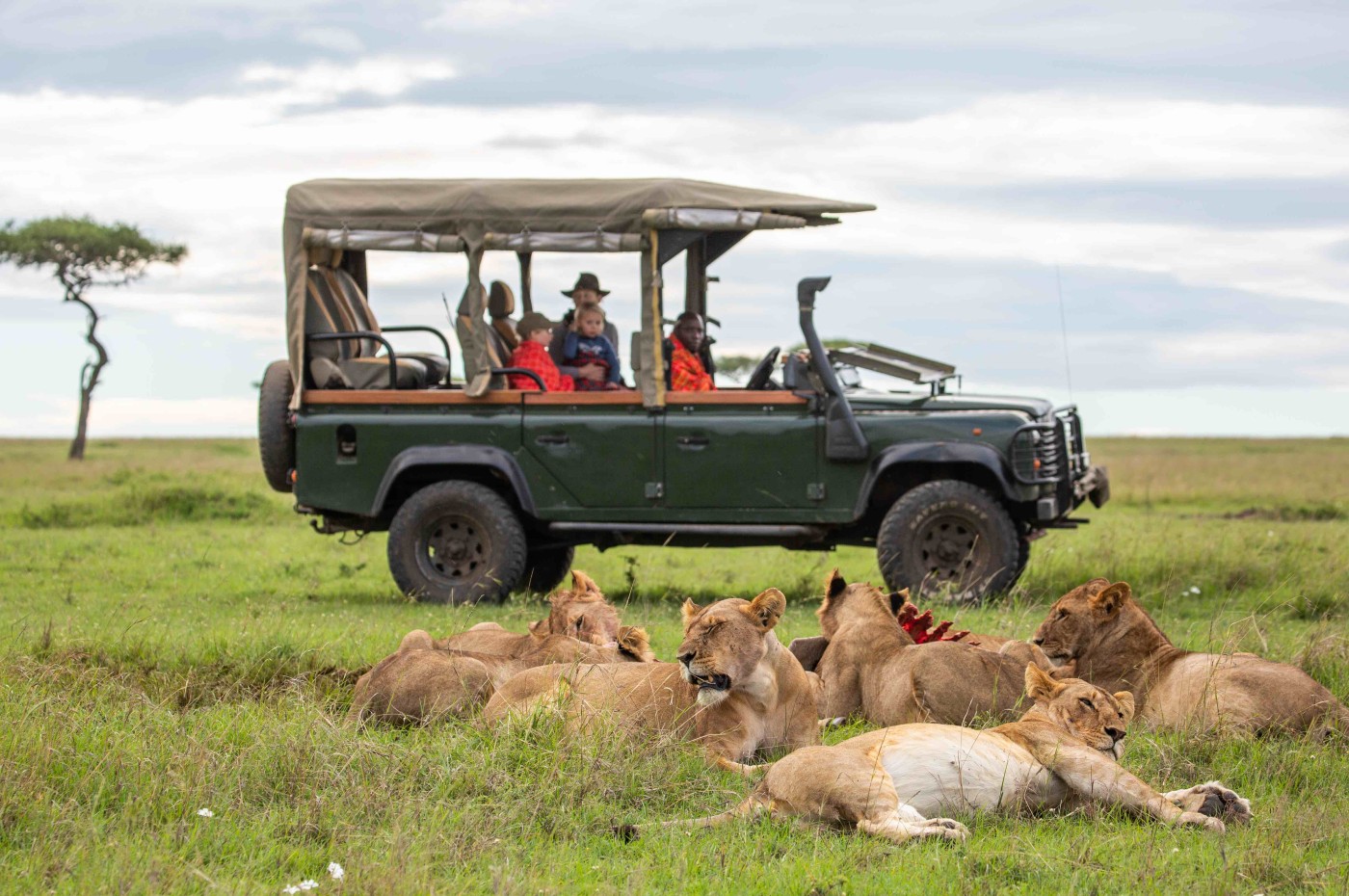 House in The Wild, Masai Mara