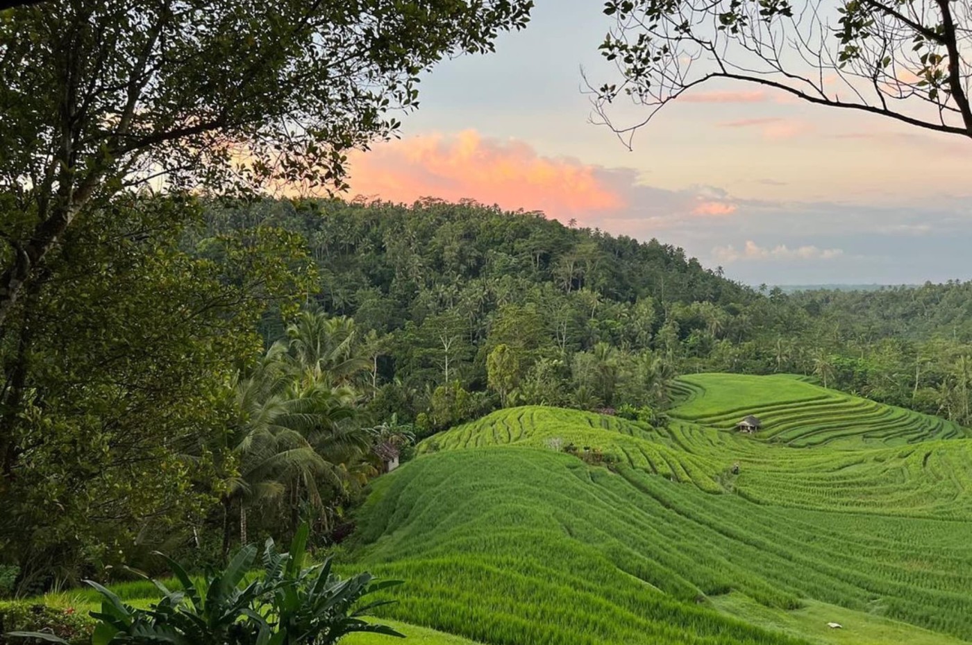 Clove Tree Hill Villas, Bali, Indonesia