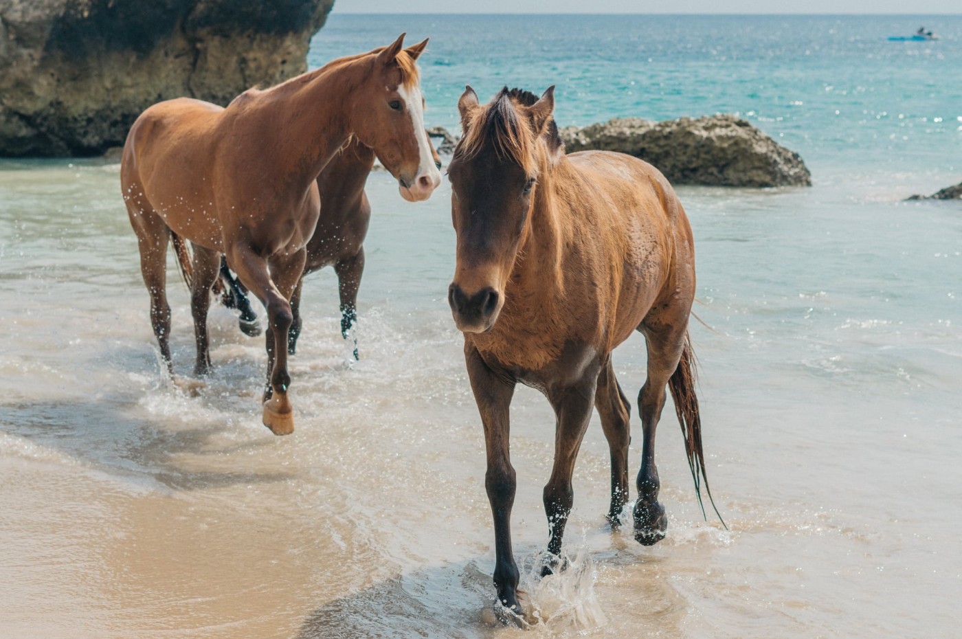 Alamayah, Sumba, Indonesia