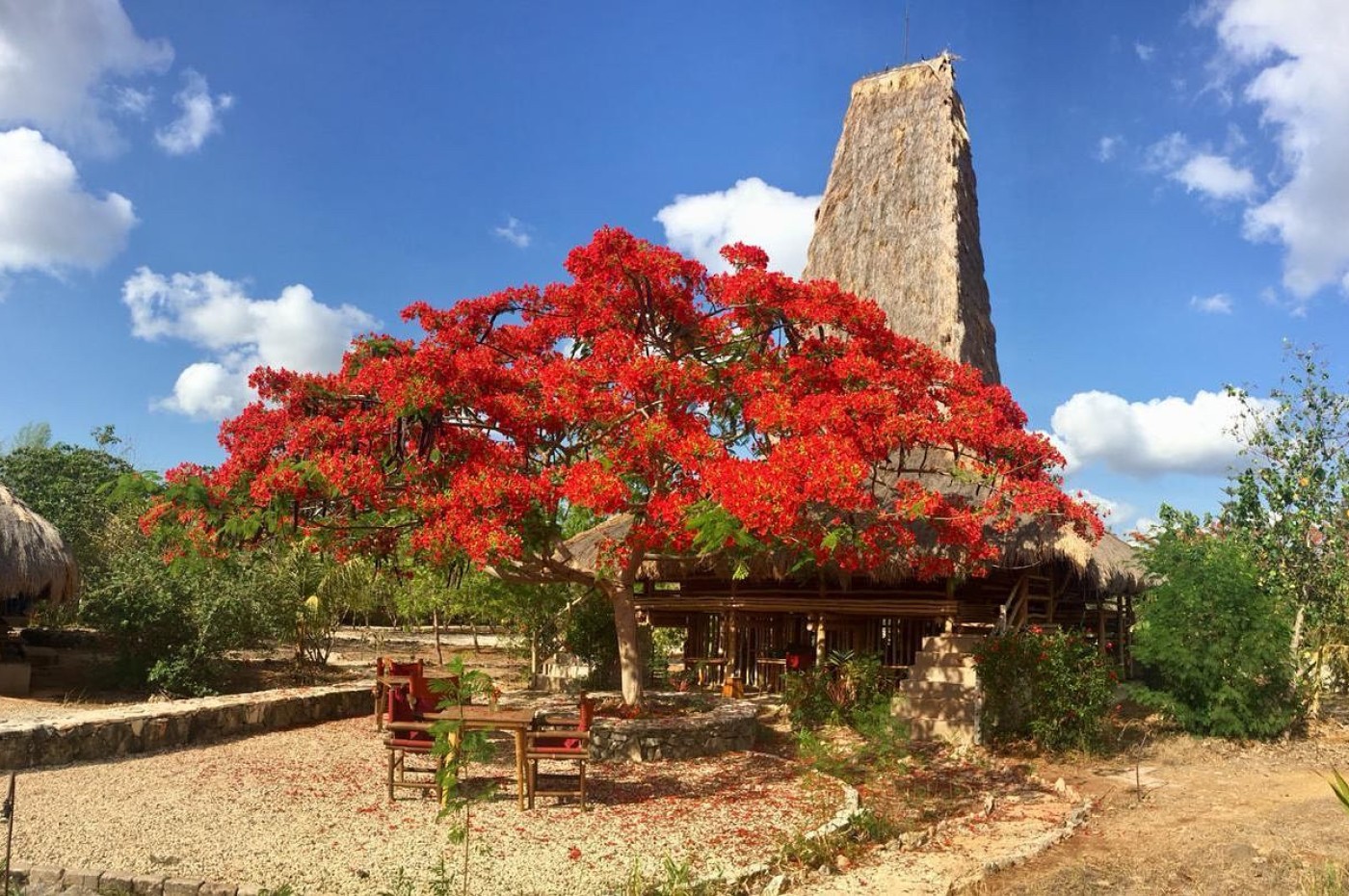 Maringi Sumba, Indonesia