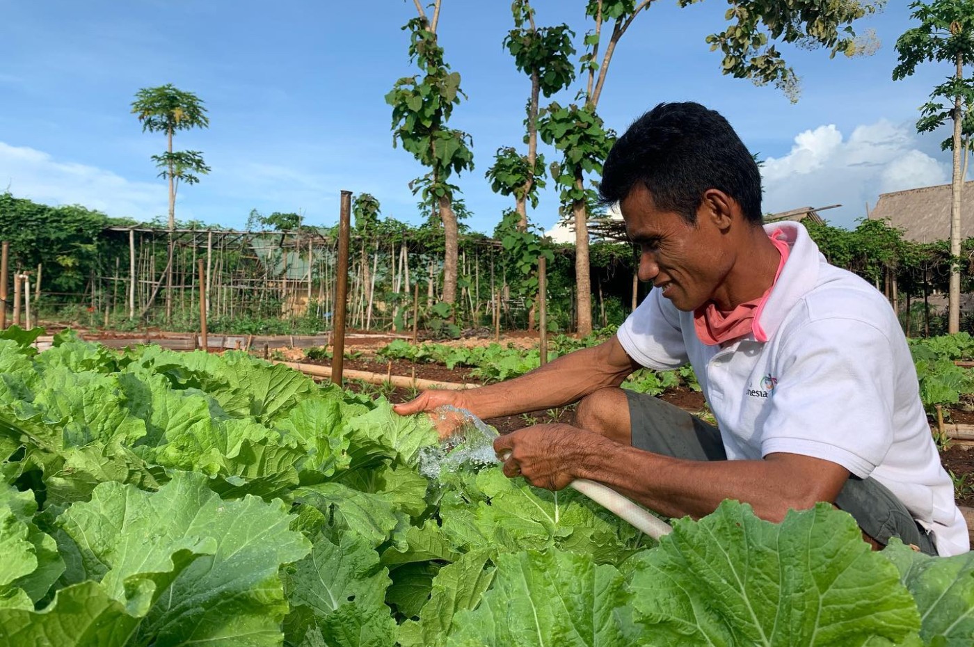 Maringi Sumba, Indonesia