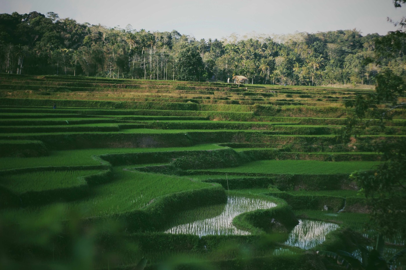 Sumba, Indonesia