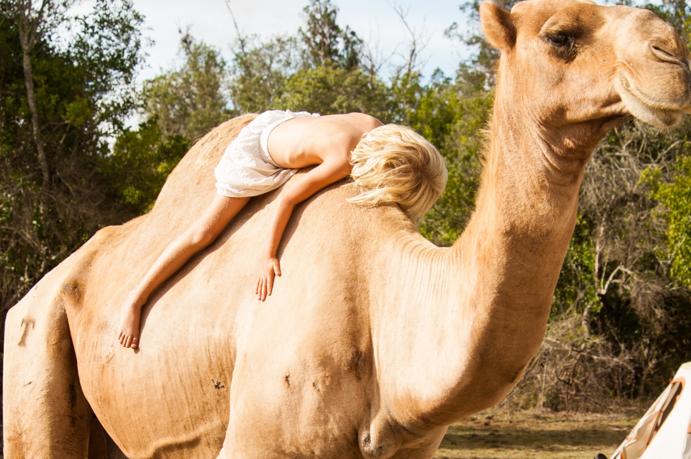 Karisia Luxury Lodge