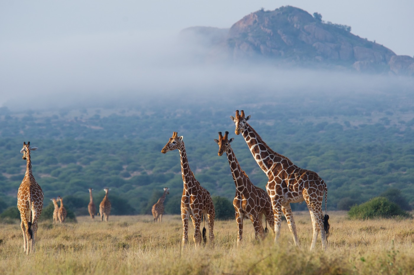 Karisia Luxury Lodge