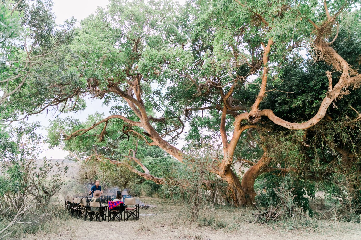 Cottar's 1920 Camp, Masai Mara