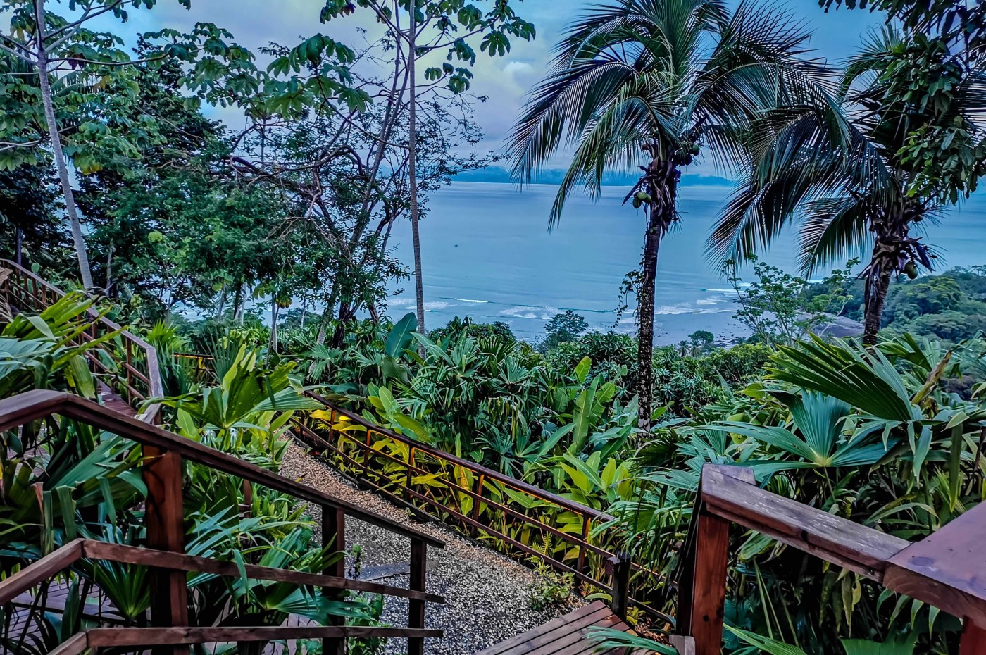 Lapa Rios, Osa Peninsula, Costa Rica