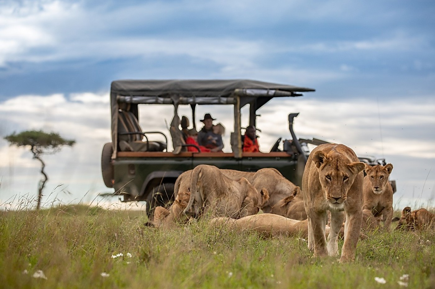 House in The Wild, Masai Mara