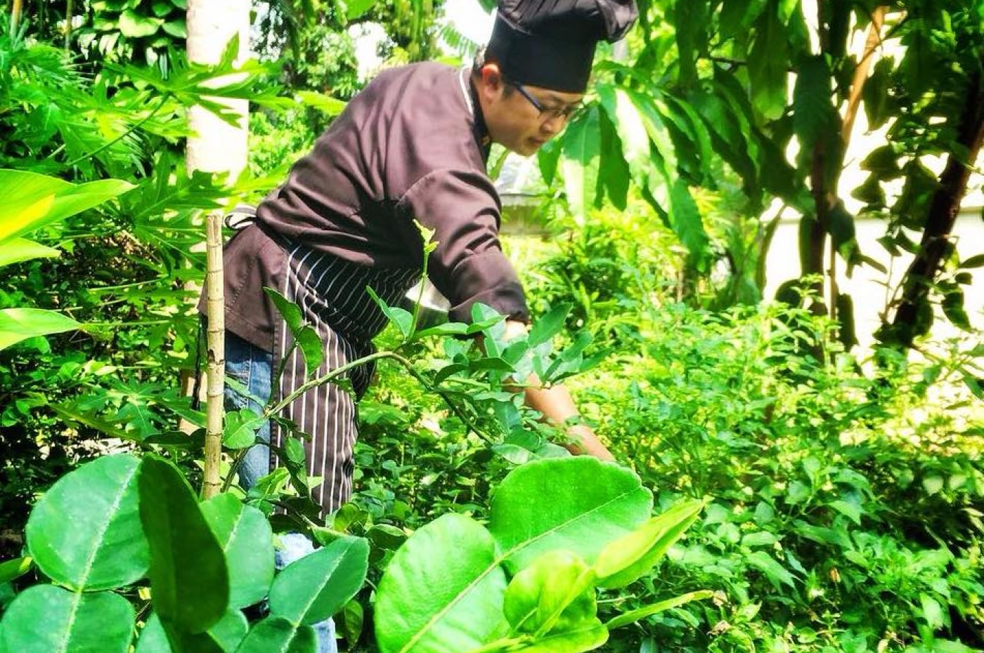 Bann Chakrabongsa, Bangkok