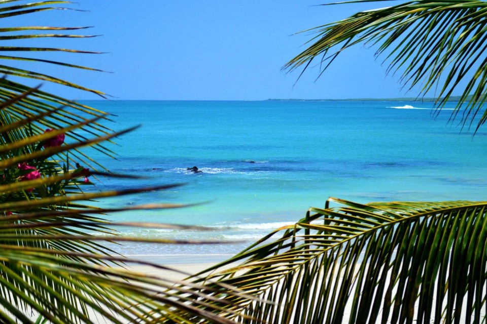 Casa de Marita, Isabela, Galapagos