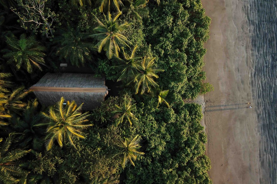 Isla Palenque, Panama