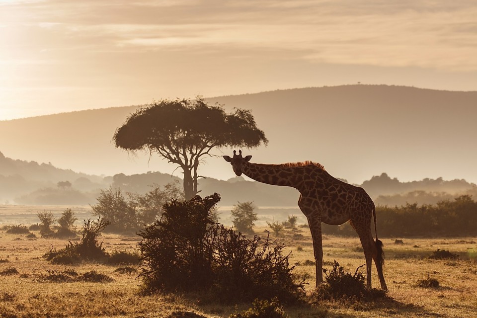 House in the Wild, Masai Mara, Kenya